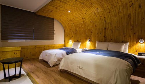 Habitación Premier con 2 camas individuales