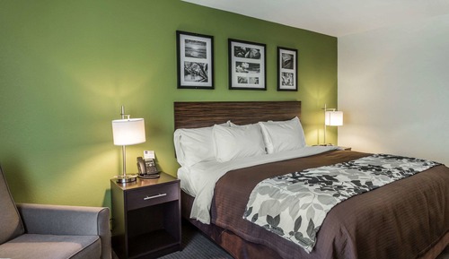 Habitación estándar, 1 cama de matrimonio grande, no fumadores