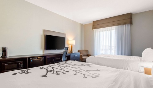 Habitación estándar, 2 camas de matrimonio, no fumadores