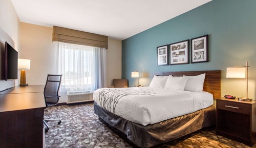 Habitación estándar, 1 cama de matrimonio grande, no fumadores