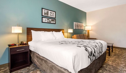 Efficiency, Suite, 1 cama de matrimonio grande, no fumadores