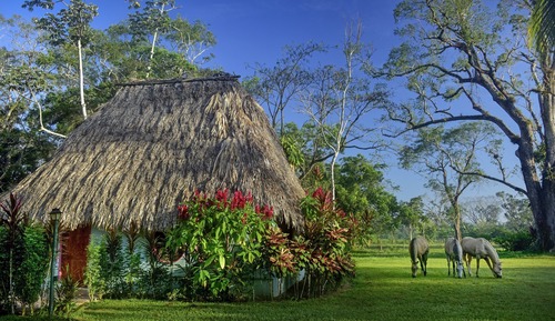 Cabaña tradicional, 2 habitaciones, no fumadores, vistas al jardín