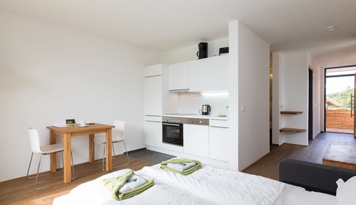 Suite familiar, cocina básica (terrace)