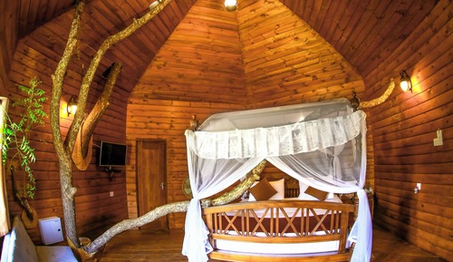 Casa Deluxe en un árbol