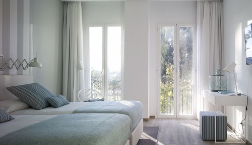 Habitación Ejecutiva con 1 cama doble o 2 individuales