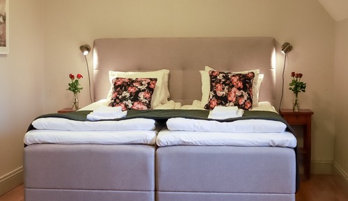 Habitación Confort con 1 cama doble o 2 individuales