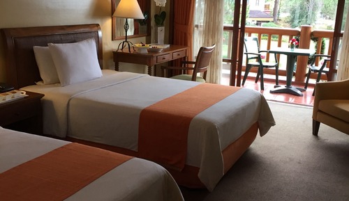 Habitación Deluxe, vistas al jardín