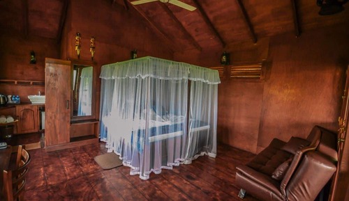 Casa en un árbol