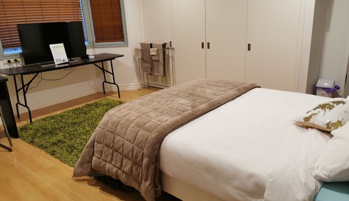 Habitación Deluxe, 1 cama de matrimonio (Deluxe Queen Room)