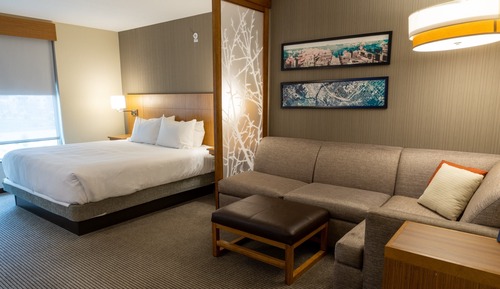 Suite, 1 cama de matrimonio grande con sofá cama