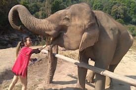 Mae Wang Otro | Mariza orchid resort and farm stay. Chiang Mai.