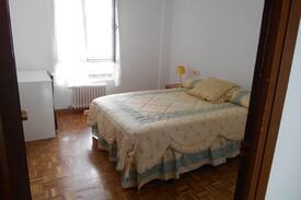 Labradores Otro | Alquiler habitación Alamedilla 2