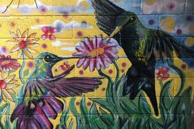 Tzununa Hostal | The Hummingbird hostel butterfly room