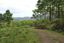 Pavones Cabina | Acogedora Cabaña en Turrialba