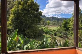 Constanza Casa | Pequeña Cabaña en la ciudad