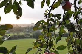 Camolin Otro | The Hideout, Romantic Tree House getaway Wexford