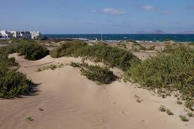 Caleta de Famara Apartamento | Apartment Caleta de Famara in Caleta de Famara