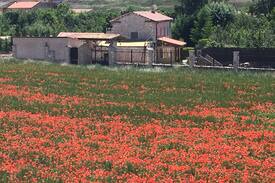 Gumiel de Hizan Cabina | Gumiel de Izan a 10min Aranda de Duero, El Molino.