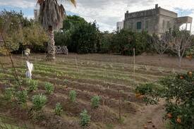 Sueca Villa | Mareny de Barraquetes playa