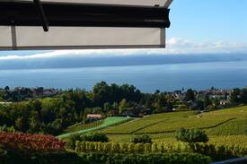 Lutry Casa | Villa de standing Le Haut des Vignes Lutry/Lavaux
