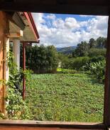 Constanza Casa | Pequeña Cabaña en la ciudad
