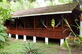 Cahuita Casa | Cabina Iguana 3c