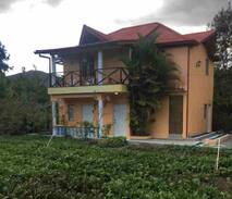 Constanza Casa | Pequeña Cabaña en la ciudad