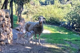San Juan Bautista Cama Y Desayuno | Agroturismo Ca Sa Vilda Marge