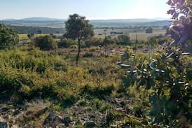Valdepenas Casa | Finca Los Cotillos