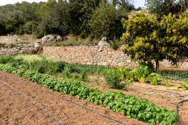 San Juan Bautista Cama Y Desayuno | Agroturismo Ca Sa Vilda Marge