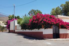 Alcaudique Cabina | Cortijo rural piscina privada"El Altosano Almeria