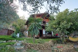 Monda Cabina | Cabaña entre olivos