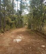 Intibuca Casa | Casa de Campo San José (La Esperanza)