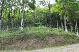 Pavones Cabina | Acogedora Cabaña en Turrialba