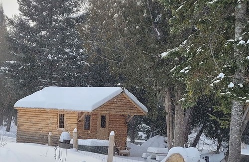 Markdale Cabina | Wood cabin by the river