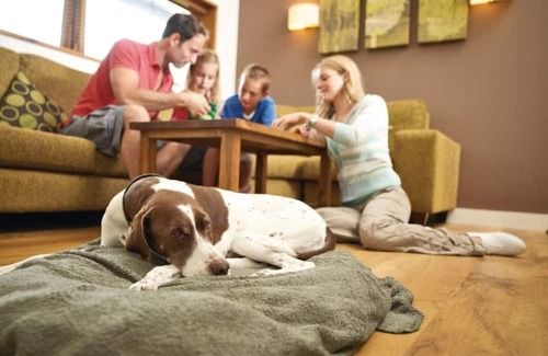 North York Moors National Park Cabina | 2 bedroom accommodation in Cropton, Pickering