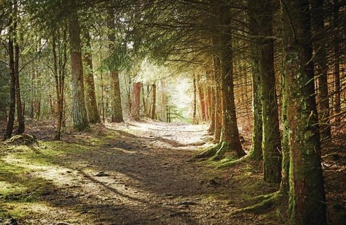 North York Moors National Park Cabina | 3 bedroom accommodation in Cropton, Pickering