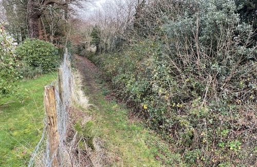 Clearbrook Cabaña | Cosy cottage with direct access to Dartmoor - pet friendly