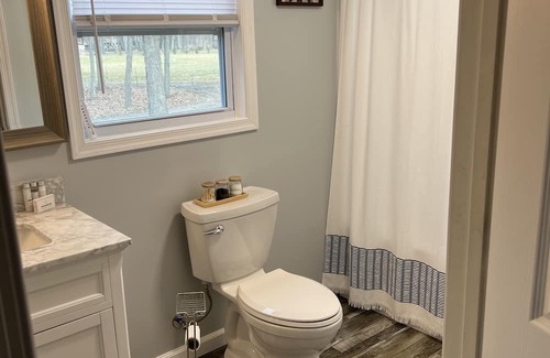 Lyndhurst Casa | Cozy Creekside Home with the National Forest at your back door !