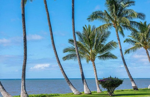 Kaunakakai Condominio | Modern Hawaii w/Lanai, Cable TV, WiFi-#221