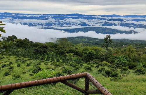 Tamesis Cabina | Glamping La Sucursal del Cielo Támesis