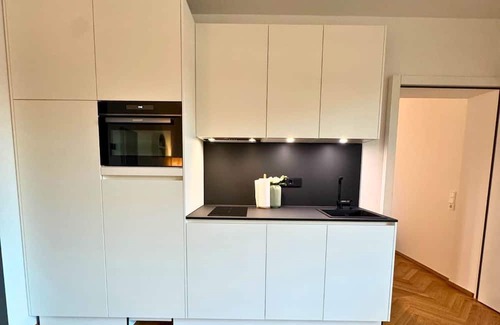 Waldshut-Tiengen Apartamento | Isaak Apartment Löwenbau E2-W06