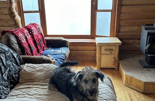 Woodland Park Cabina | Nice cabin with WiFi in charming Woodland Park