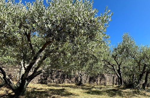 Oprtalj Cabaña | Charming 2-bedroom cottage with swimmingpool in welcoming Oprtalj with WiFi, AC