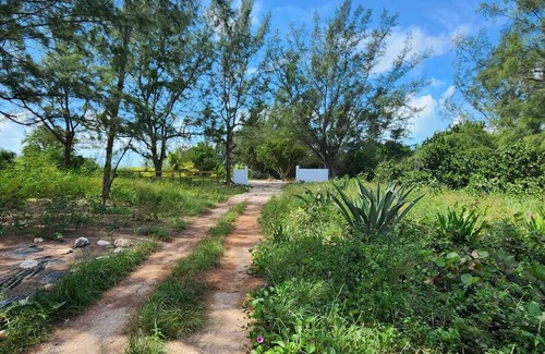Winding Bay Cabaña | Charming private cottage with WiFi and AC in beautiful Whale Point