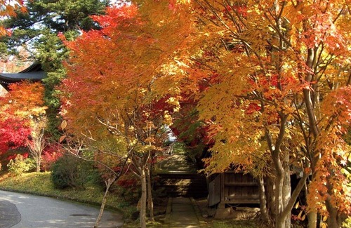 Hida Takayama Onsen Casa | Nonsmoking standard twin VS | Simple accommodat /Takayama Gifu