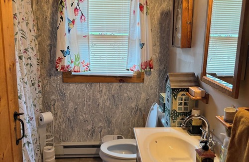 Conway Cabina | Cozy 3-bedroom cabin in welcoming Conway with AC, WiFi