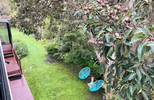 Walkerville Casa | A quiet place to come and relax close to the beach