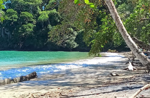 Cahuita Casa | Caribbeans Beach Cahuita Beach vacation home