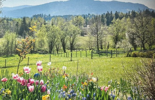 Bad Toelz Otro | Old farmhouse with mountain views Wellness area with sauna and pool